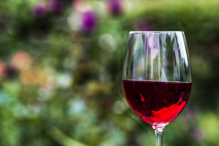 РАР: госзакупки импортных вин ограничивать не планируется