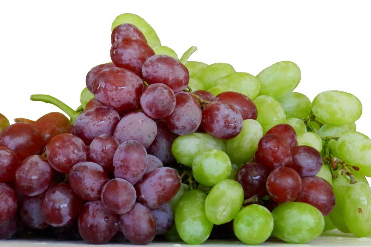 В Армении отменят пошлину на производство виноградной водки