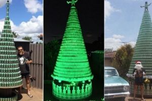 Австралиец построил рождественскую ёлку из пивных банок