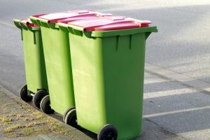 Heineken профинансировала установку контейнеров для раздельного сбора отходов в Петербурге
