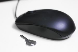 Общероссийской народный фронт обратится к правительству с требованием отладить работу сайта regulation.gov.ru