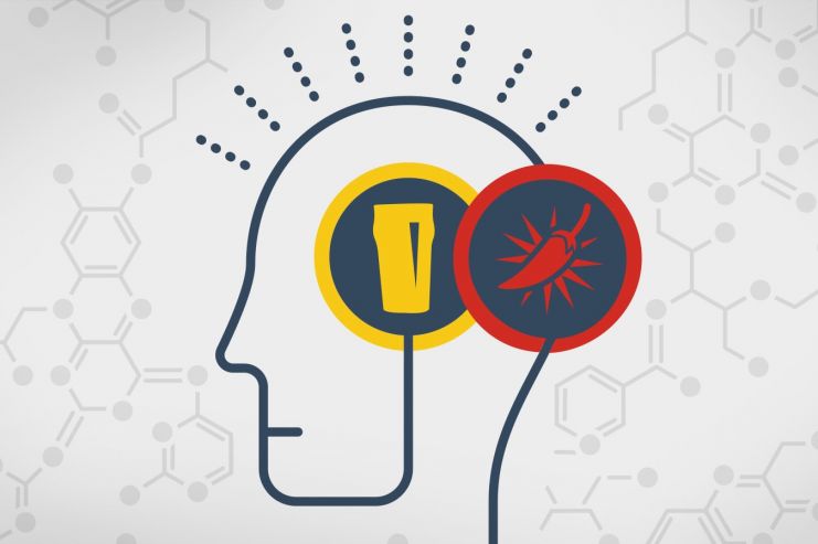 Почему не стоит сочетать IPA с острой пищей?