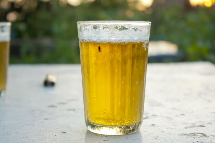 Иван Белецкий: дефектное пиво или «крафт»?