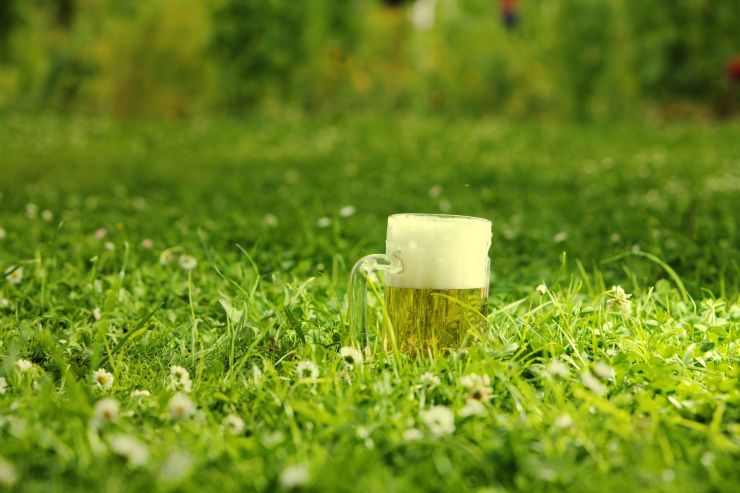 Green Street Brewery сварили новый сорт, чтобы помочь больному раком