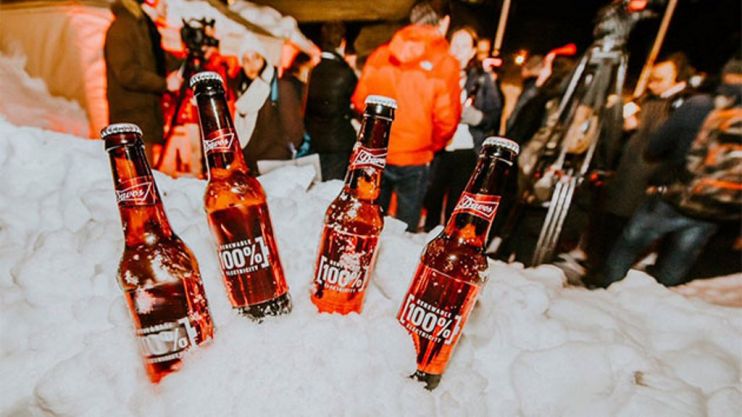 На пиве Budweiser появится знак экологической инициативы