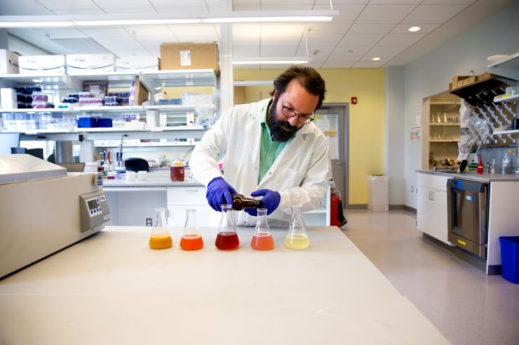 Учёные разработали молочное «пиво» из сыворотки