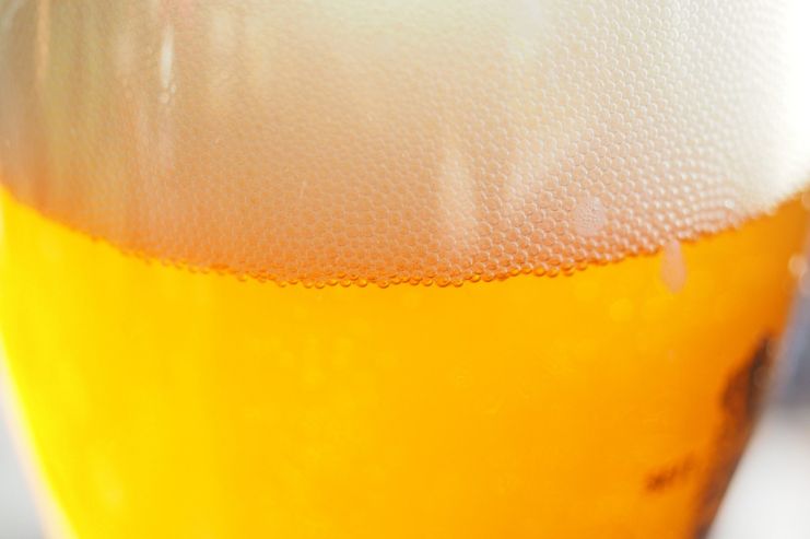 В Бельгии сварили пиво с «динамизированной» водой