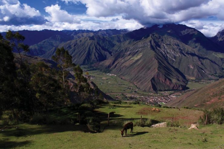 Горная магия: спонтанное брожение в Священной долине Перу