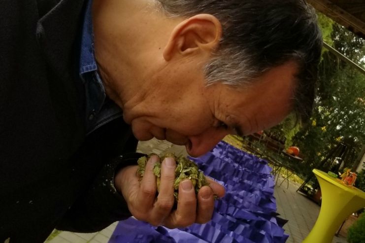 Как выбирают хмель для Samuel Adams