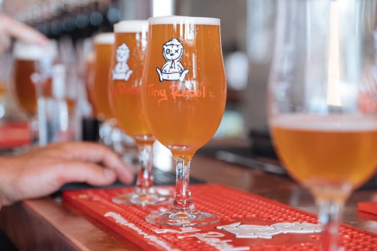 Пивоварня Tiny Rebel увеличит объём производства в 7 раз