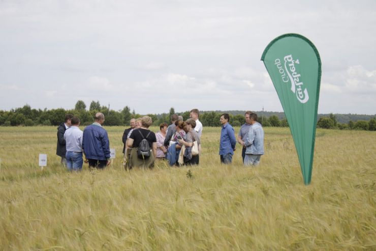 В Ярославской области представили выращенные в 2018 году сорта ячменя