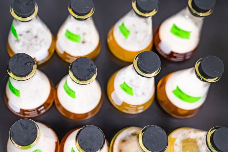 Чешские ученые научились быстро определять качество пива