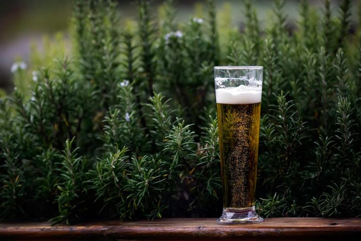 AB InBev купил канадскую крафтовую пивоварню Banded Peak