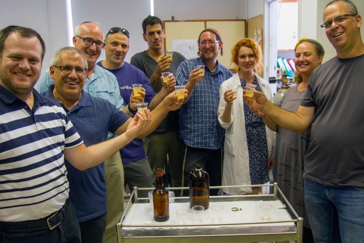 Израильские ученые сбродили пиво 5000-летними дрожжами