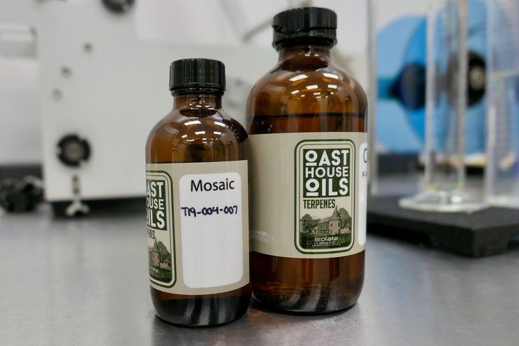 Как терпены хмеля изменят пивоварение