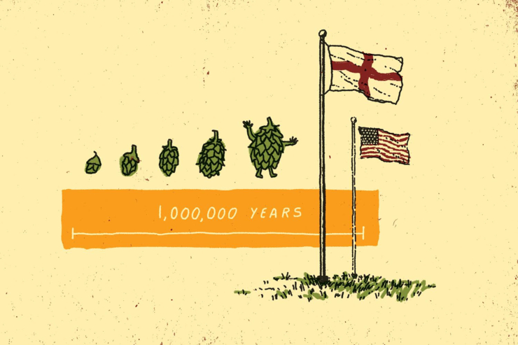 Как секвенирование генома изменит хмель, ячмень и дрожжи