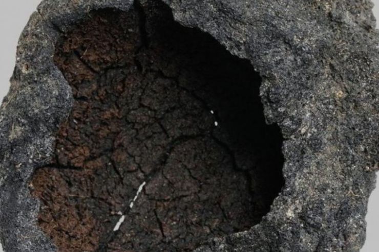 Австрийские ученые нашли древнейшее в Европе пиво