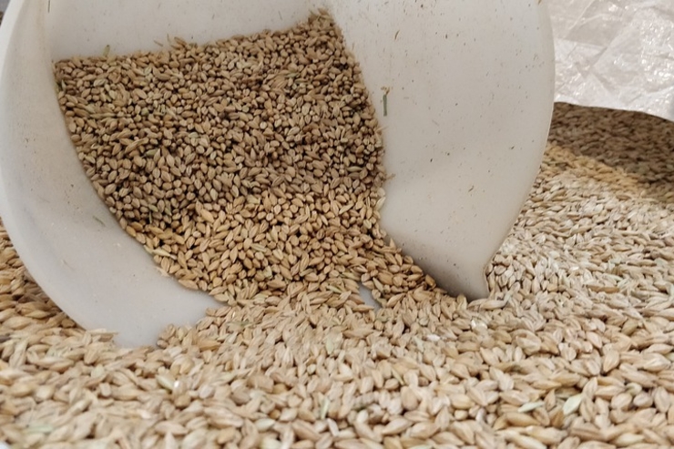 Торговые войны с Австралией могут отразиться на китайском рынке пива