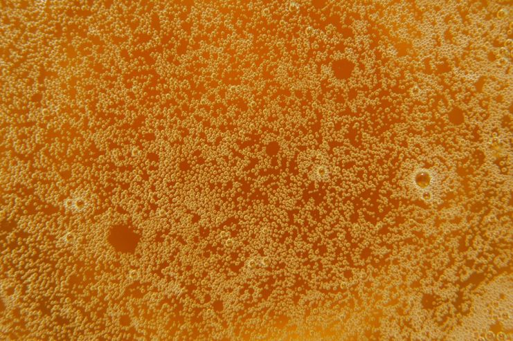 За второй квартал 2020 года выручка Molson Coors сократилась на 15,1%