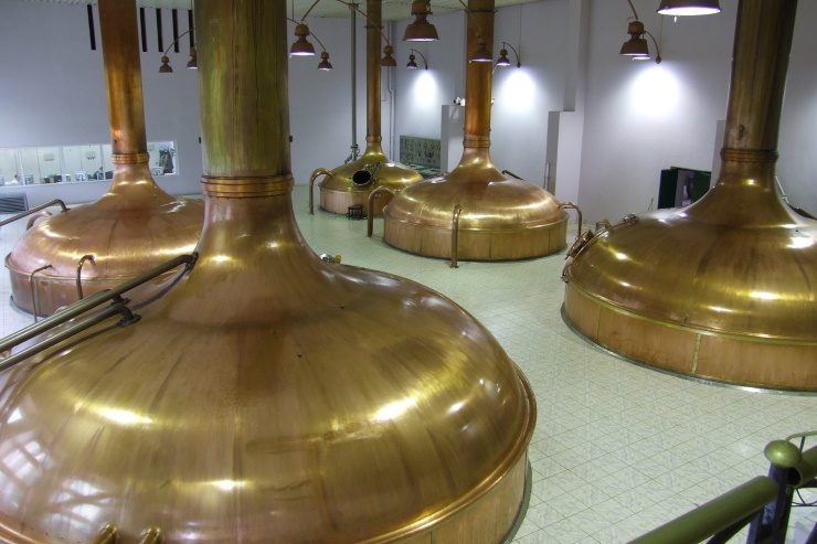 Ярославских пивоваров приглашают принять участие во Всероссийском конкурсе «Лучший пивовар»