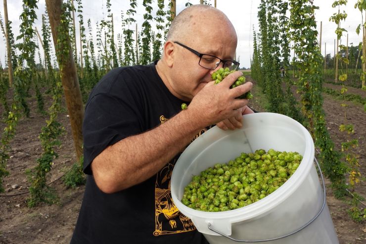 YakimaChief Hops в сентябре проведёт бесплатные онлайн-семинары о хмеле