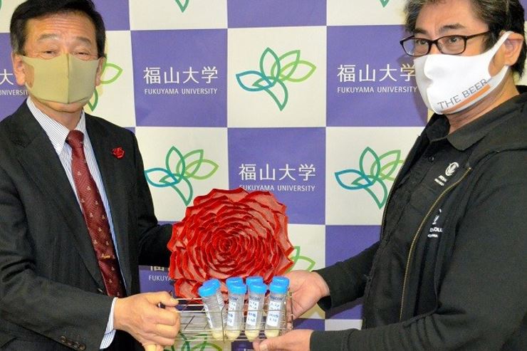В Японии выпустят пиво с дрожжами из цветков розы