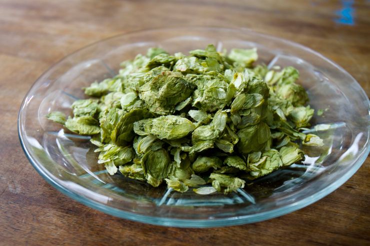 Учёные разработали новый метод анализа содержания хмелевых тиолов в пиве