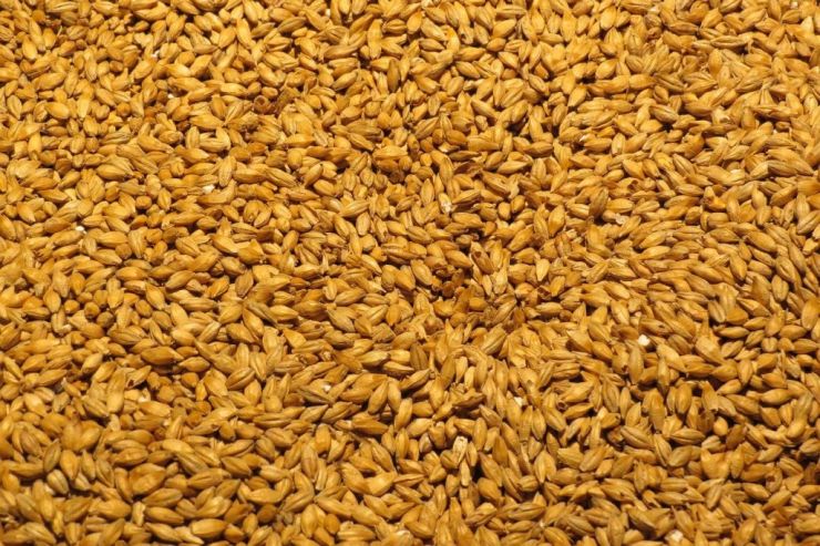 Экспорт солода из Евросоюза увеличился на 8,9%