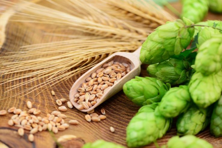 Сергей Павлов: «Если бы качественные специальные солода и хмель производились в России, мы бы рассматривали возможность их использования»