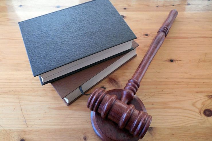 Галина Кляйн призналась в суде, что ударила правоохранителя при обыске