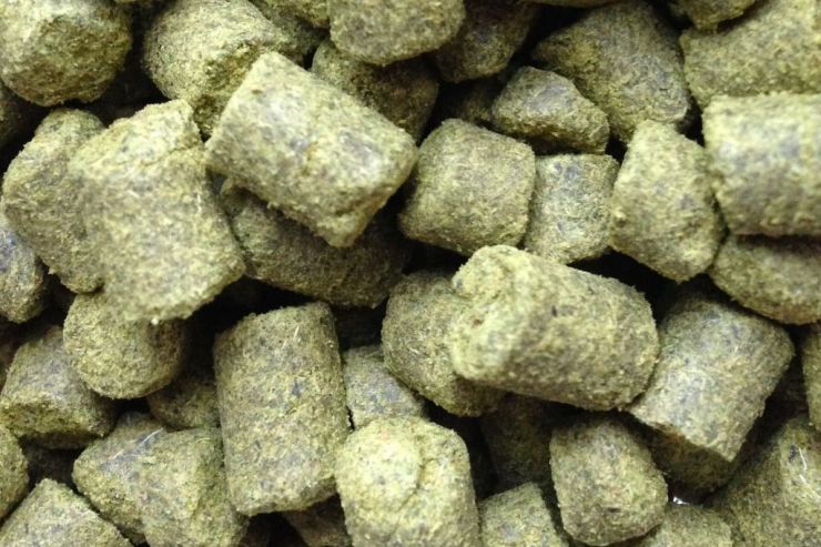 «Василеостровская Пивоварня» приобретет на пробу гранулированный хмель из Чувашии