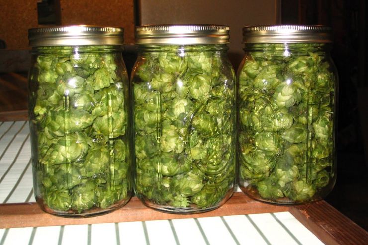 В Подмосковье пройдет фестиваль «Гуслицкий хмель» 