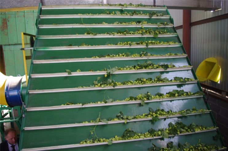 В Чувашии заработал первый отечественный хмелеуборочный комбайн 