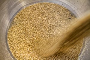 В Великобритании сократилось потребление ячменя и пшеницы для производства пива и крепкого алкоголя