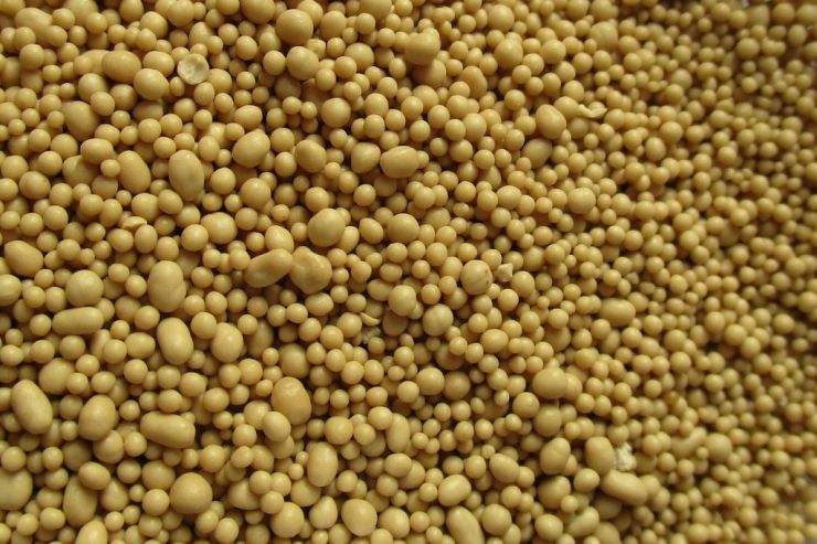 Стартап Роснано поможет пивоварням избежать взрыва банок