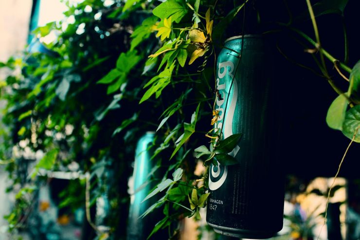 Carlsberg Group сообщила о сокращении выбросов углекислого газа на 30%