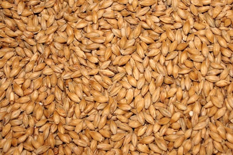 Производство солода в Европе почти достигло допандемических объемов