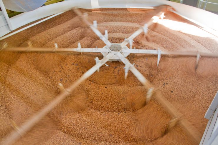 Цены на солод бьют исторический максимум из-за ситуации на Украине