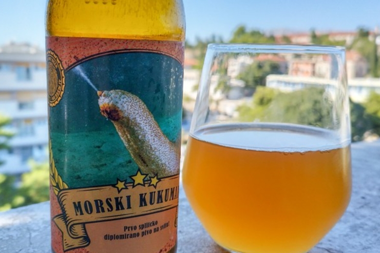 Хорватский ученый сварил пиво с использованием морских дрожжей