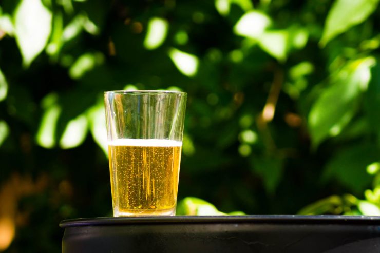 «Очаково» может заняться выпуском сидра