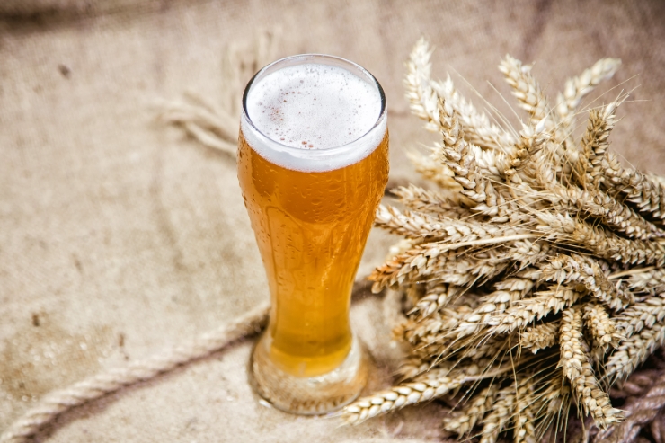 В Австралии создали новый национальный стиль пива — австралийский пшеничный эль 