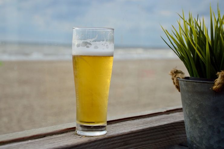 Правительство Мексики одобрило место строительства нового завода Constellation