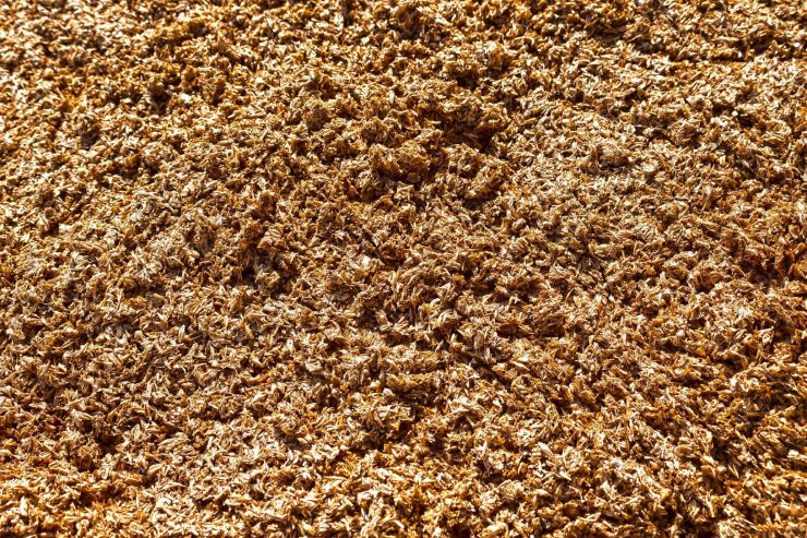 В Воронеже разработали биоразлагаемую упаковку из пивной дробины