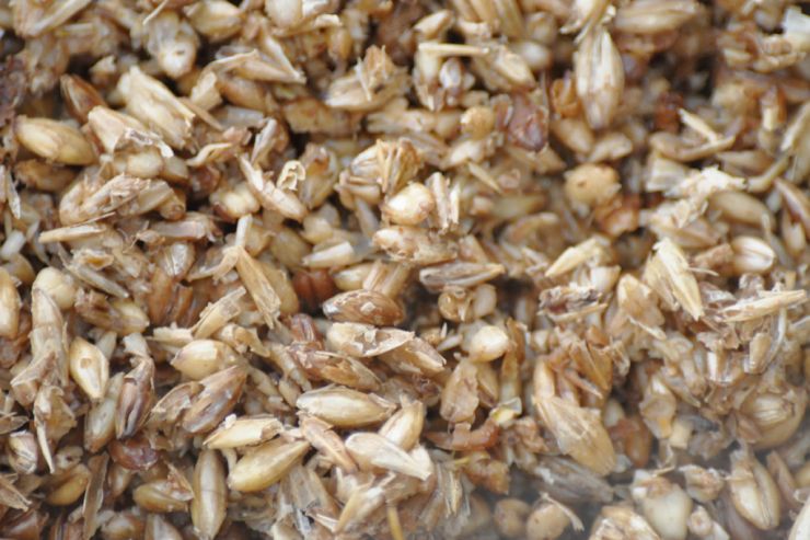 Сингапурские ученые создали из пивной дробины эмульгатор для продуктов