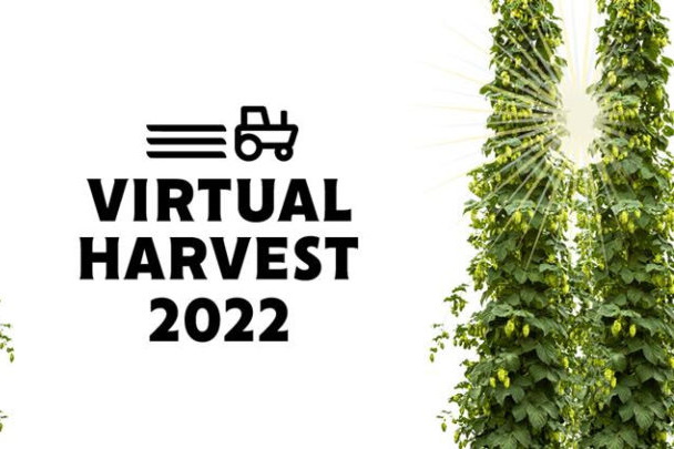 Hop Products Australia проводит виртуальный сбор урожая