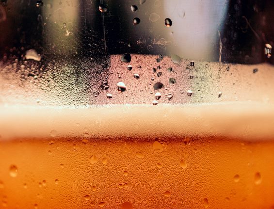 В апреле пройдёт VIII Петербургский форум пивоваров