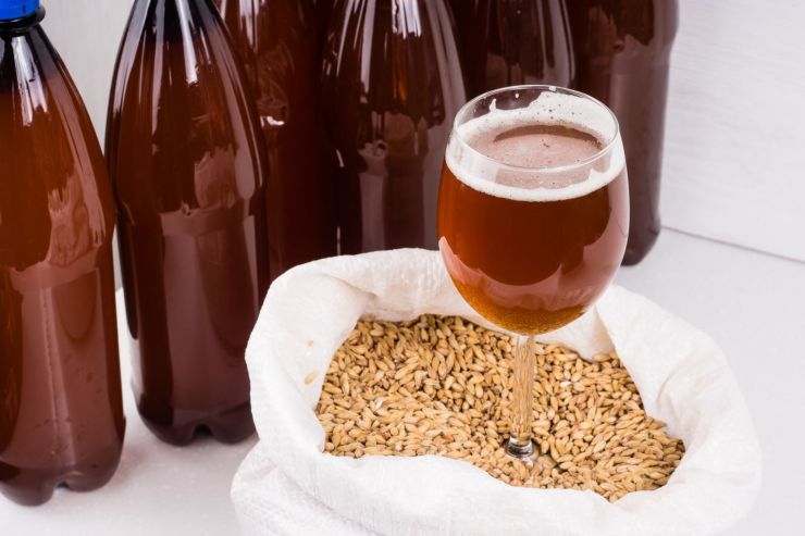 Члены Ассоциации производителей пива в России собрали 730 тыс. тонн ячменя 