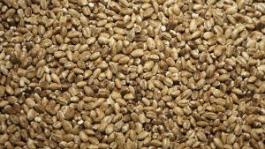 В РФ на конец июля намолочено 39,1 млн тонн зерна