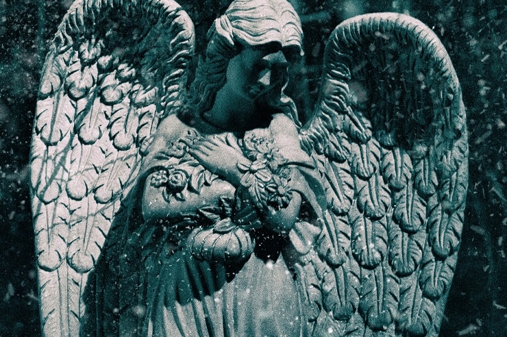 Оптовая пивная компания построила в Ростове крематорий