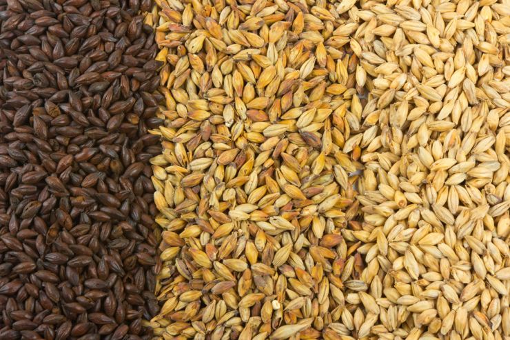 Экспорт солода из России может превысить 600 тыс. тонн